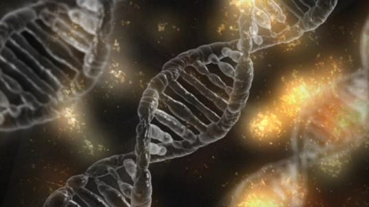 Научный семинар СУНЦ НГУ: что могут рассказать наши гены?