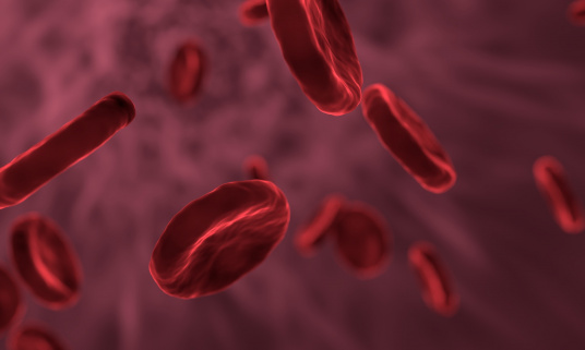 Научный семинар: клетки крови — что мы знаем о них?