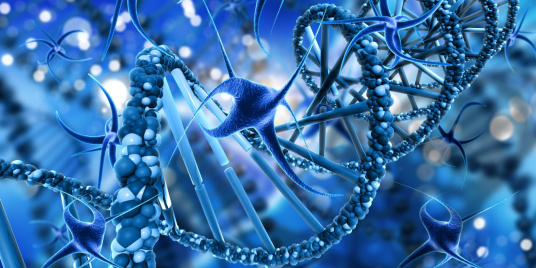 Система детоксикации и фармакогенетика 