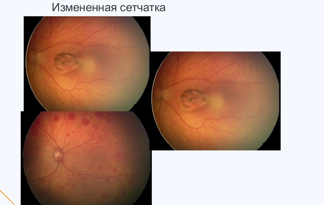 image 365.png