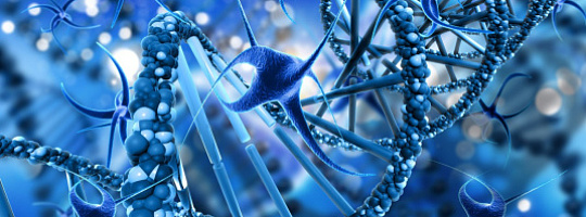 Система детоксикации и фармакогенетика 