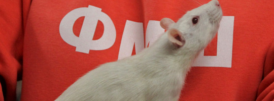 День открытых дверей